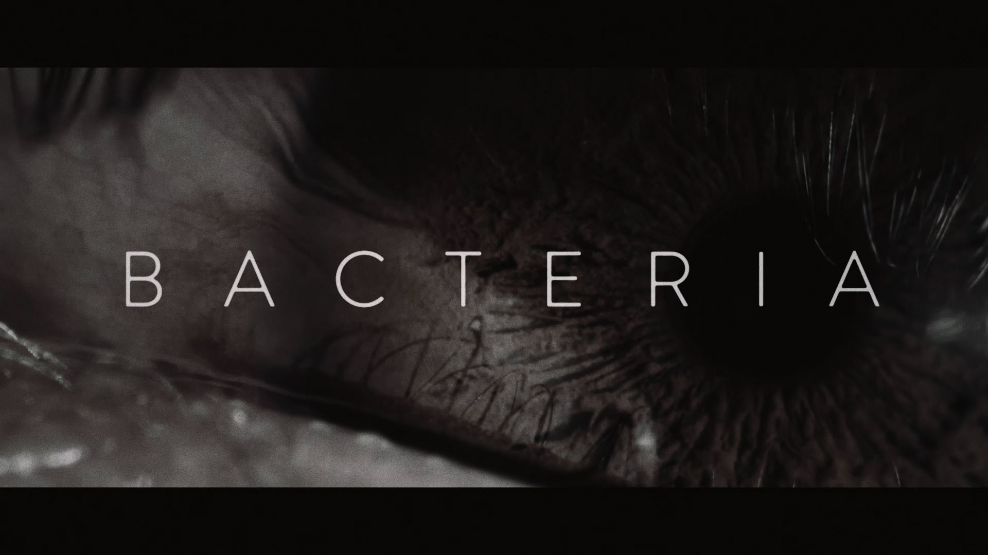 Abertura do Filme Bacteria